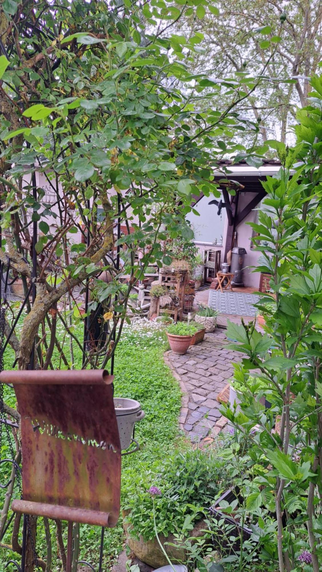 Ferienwohnung Vogt Mertloch Esterno foto