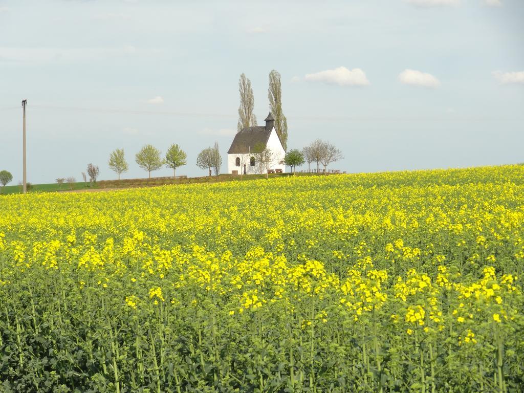 Ferienwohnung Vogt Mertloch Camera foto